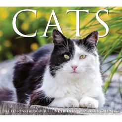 Willow Creek 2025 Cats 6