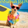 Willow Creek 2025 Chihuahua Rules 12" x 12" Monthly Wall Calendar (42311) Best