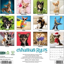 Willow Creek 2025 Chihuahua Rules 12" x 12" Monthly Wall Calendar (42311) Best