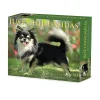 Willow Creek 2025 Chihuahuas 6" x 5.5" Day-to-Day Calendar, Multicolor (40737) Online