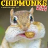Willow Creek 2025 Chipmunks (Gone Nuts!) 12" x 12" Monthly Wall Calendar (42335) Best