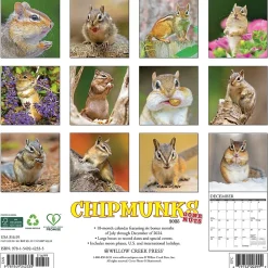 Willow Creek 2025 Chipmunks (Gone Nuts!) 12" x 12" Monthly Wall Calendar (42335) Best