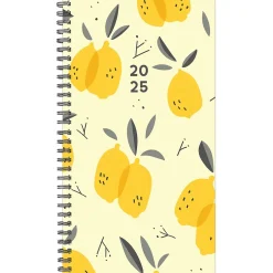 Willow Creek 2025 Citrus Grove 3.5" x 6.5" Academic Year Weekly Planner Cover, Multicolored (48726) Online