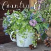Willow Creek 2025 Country Chic 12" x 12" Monthly Wall Calendar (42588) New