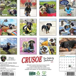 Willow Creek 2025 Crusoe the Celebrity Dachshund 12" x 12" Monthly Wall Calendar (42632) Discount