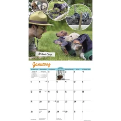 Willow Creek 2025 Crusoe the Celebrity Dachshund 12