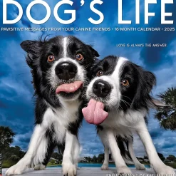 Willow Creek 2025 Dog's Life 12" x 12" Monthly Wall Calendar (42731) Online