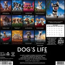 Willow Creek 2025 Dog's Life 12" x 12" Monthly Wall Calendar (42731) Online