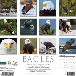 Willow Creek 2025 Eagles 12" x 12" Monthly Wall Calendar (42786) Hot