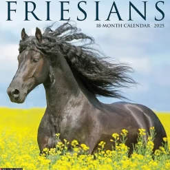Willow Creek 2025 Friesians 12" x 12" Monthly Wall Calendar (42960) Online