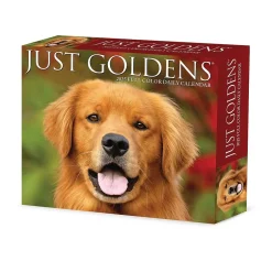 Willow Creek 2025 Goldens 6" x 5.5" Day-to-Day Calendar (40867) Discount