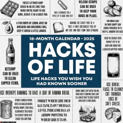 Willow Creek 2025 Hacks of Life 12" x 12" Monthly Wall Calendar (47217) New