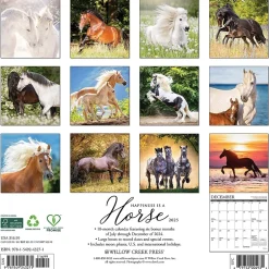 Willow Creek 2025 Happiness is a Horse 12" x 12" Monthly Wall Calendar (43271)