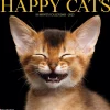 Willow Creek 2025 Happy Cats 12" x 12" Monthly Wall Calendar (43288)