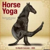 Willow Creek 2025 Horse Yoga 12" x 12" Monthly Wall Calendar (43370) Online