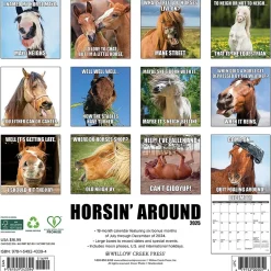Willow Creek 2025 Horsin’ Around 12" x 12" Monthly Wall Calendar (43394) Discount