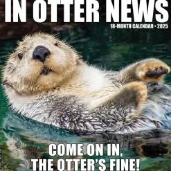 Willow Creek 2025 In Otter News 12" x 12" Monthly Wall Calendar (43479) Outlet