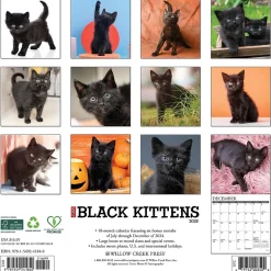 Willow Creek 2025 Just Black Kittens 12" x 12" Monthly Wall Calendar, Multicolor (41840) New