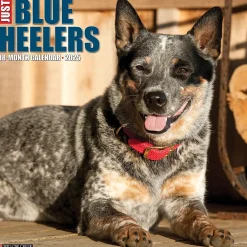 Willow Creek 2025 Just Blue Heelers 12" x 12" Monthly Wall Calendar, Multicolor (41888) Discount