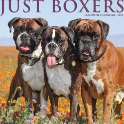 Willow Creek 2025 Just Boxers 12" x 12" Monthly Wall Calendar, Multicolor (41949) Discount