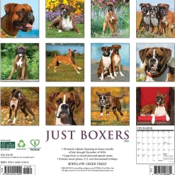 Willow Creek 2025 Just Boxers 12" x 12" Monthly Wall Calendar, Multicolor (41949) Discount
