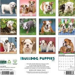 Willow Creek 2025 Just Bulldog Puppies 12" x 12" Monthly Wall Calendar, Multicolor (42021) Online
