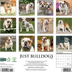 Willow Creek 2025 Just Bulldogs 12" x 12" Monthly Wall Calendar (42038) Outlet