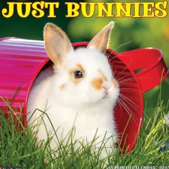 Willow Creek 2025 Just Bunnies 12" x 12" Monthly Wall Calendar (42045) Hot