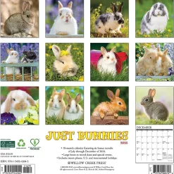 Willow Creek 2025 Just Bunnies 12" x 12" Monthly Wall Calendar (42045) Hot