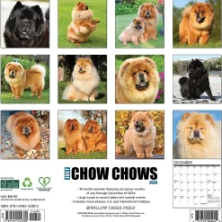 Willow Creek 2025 Just Chow Chows 12" x 12" Monthly Wall Calendar (42380) Outlet