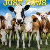 Willow Creek 2025 Just Cows 12" x 12" Monthly Wall Calendar (42625) Hot