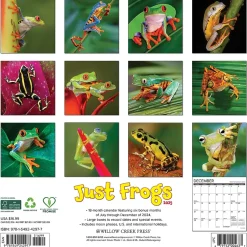 Willow Creek 2025 Just Frogs 12" x 12" Monthly Wall Calendar (42977) Clearance