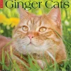 Willow Creek 2025 Just Ginger Cats 12" x 12" Monthly Wall Calendar (43059)
