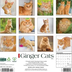 Willow Creek 2025 Just Ginger Cats 12" x 12" Monthly Wall Calendar (43059)