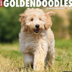 Willow Creek 2025 Just Goldendoodles 12" x 12" Monthly Wall Calendar (43127) Discount