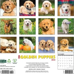 Willow Creek 2025 Just Golden Puppies 12" x 12" Monthly Wall Calendar (43097) New