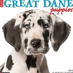 Willow Creek 2025 Just Great Dane Puppies 12" x 12" Monthly Wall Calendar (43189) New
