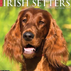 Willow Creek 2025 Just Irish Setters 12" x 12" Monthly Wall Calendar (43523) Best