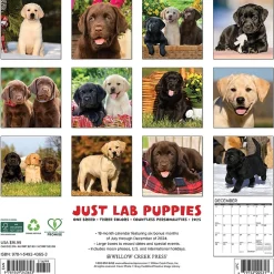 Willow Creek 2025 Just Lab Puppies 12" x 12" Monthly Wall Calendar (43653) Clearance