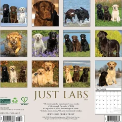 Willow Creek 2025 Just Labs 12" x 12" Monthly Wall Calendar (43677) Discount