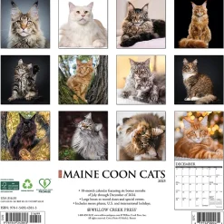 Willow Creek 2025 Just Maine Coon Cats 12" x 12" Monthly Wall Calendar (43813) Clearance