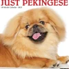 Willow Creek 2025 Just Pekingese 12" x 12" Monthly Wall Calendar (44407) Outlet