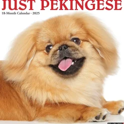 Willow Creek 2025 Just Pekingese 12" x 12" Monthly Wall Calendar (44407) Outlet