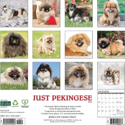 Willow Creek 2025 Just Pekingese 12" x 12" Monthly Wall Calendar (44407) Outlet