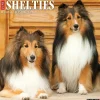 Willow Creek 2025 Just Shelties 12" x 12" Monthly Wall Calendar (44841) Clearance