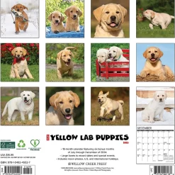 Willow Creek 2025 Just Yellow Lab Puppies 12" x 12" Monthly Wall Calendar (45527)