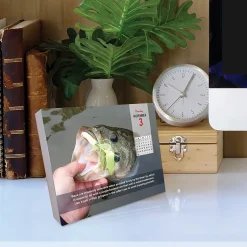 Willow Creek 2025 Ken Schultz's Daily Fishing Tips 6