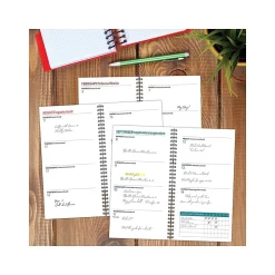 Willow Creek 2025 Modern Stripe 3.5" x 6.5" Weekly & Monthly Planner, Paper Cover, Multicolor (48542X) New