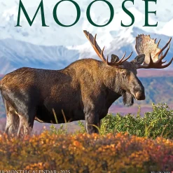 Willow Creek 2025 Moose 12" x 12" Monthly Wall Calendar (44032) Hot