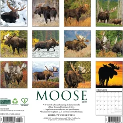 Willow Creek 2025 Moose 12" x 12" Monthly Wall Calendar (44032) Hot